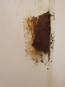ユニットバスのサビをアップで見た状態