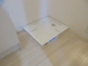 新たに洗濯パンかさ上げタイプを設置した状態