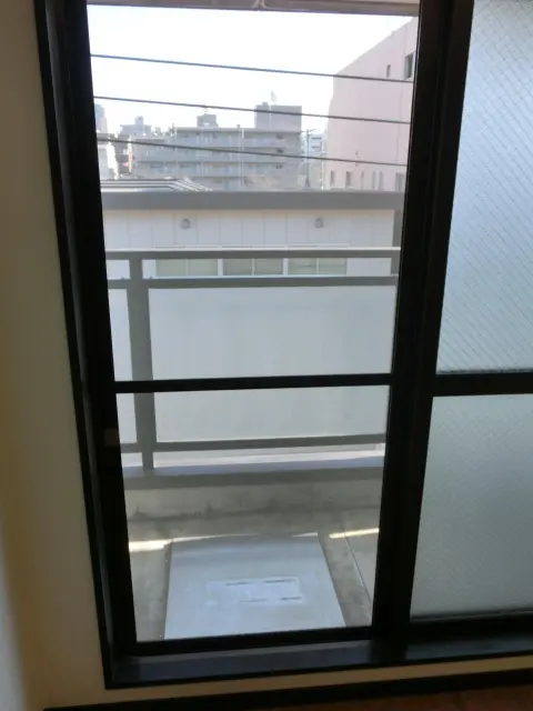 網戸貼替えた様子