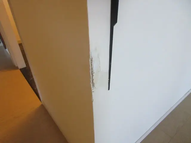 ペットが壁の角をガジガジして下地が見えている状態