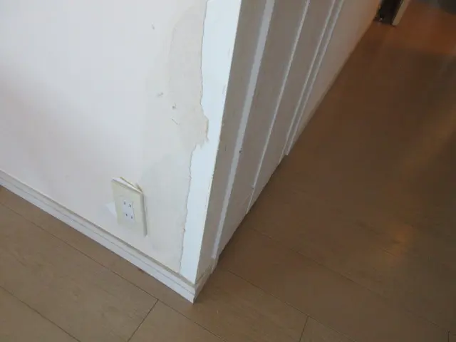 ペットに壁の角を齧られた状態