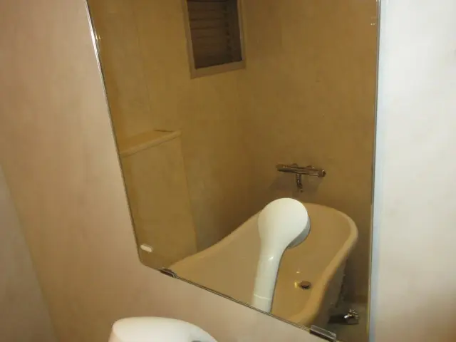 鏡のウロコがきれいに取れた状態（別アングル）