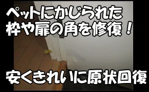 「ペットにかじられた枠や扉の角を修復!安くきれいに原状回復【江東区】」のアイキャッチ画像