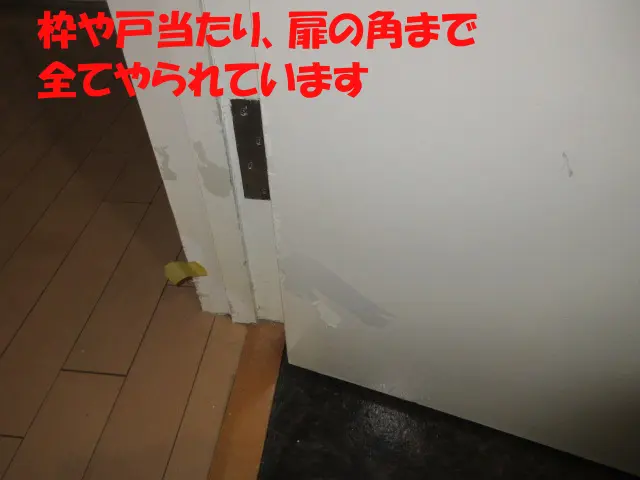 枠や戸当たり、扉の角にまで入居者が飼っていたペットのかじり跡がある