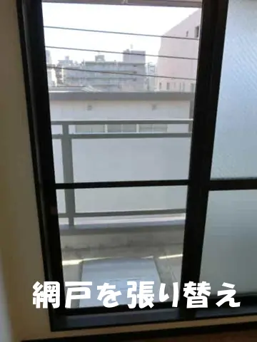 網戸張り替えた様子