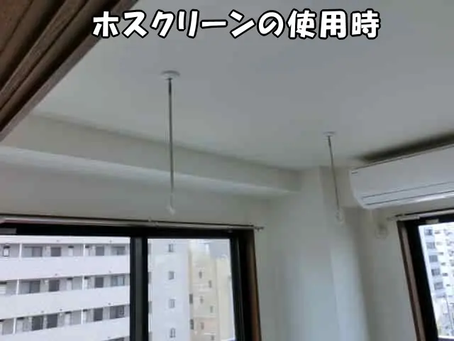 ホスクリーン使用時の様子