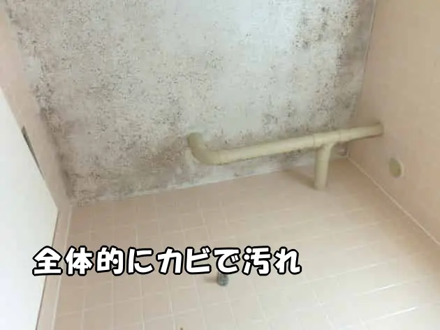 お風呂の天井が全体的にカビで汚れている様子