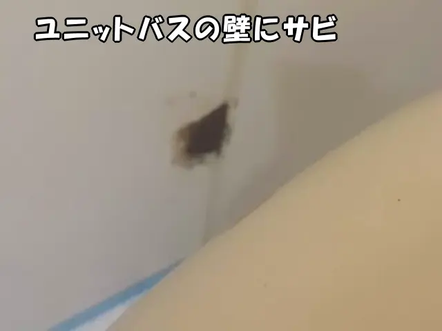 ユニットバスの壁にサビがある状態